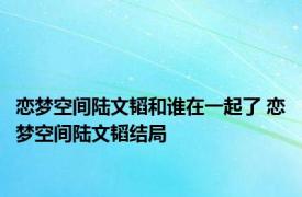 恋梦空间陆文韬和谁在一起了 恋梦空间陆文韬结局