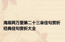 海底两万里第二十三章佳句赏析 经典佳句赏析大全