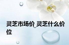 灵芝市场价 灵芝什么价位