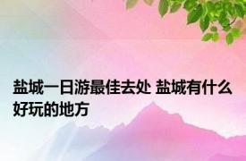 盐城一日游最佳去处 盐城有什么好玩的地方