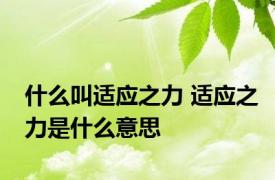 什么叫适应之力 适应之力是什么意思