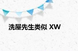 洗屋先生类似 XW 