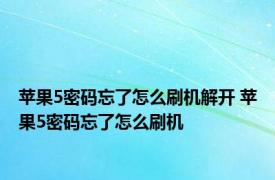 苹果5密码忘了怎么刷机解开 苹果5密码忘了怎么刷机