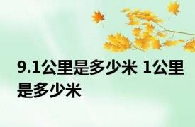 9.1公里是多少米 1公里是多少米