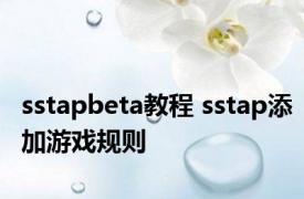 sstapbeta教程 sstap添加游戏规则