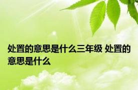 处置的意思是什么三年级 处置的意思是什么