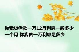 你我贷借款一万12月利息一般多少一个月 你我贷一万利息是多少