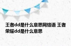 王者dd是什么意思网络语 王者荣耀dd是什么意思