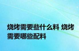 烧烤需要些什么料 烧烤需要哪些配料