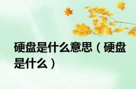 硬盘是什么意思（硬盘是什么）