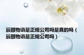 辰颐物语是正规公司吗是真的吗（辰颐物语是正规公司吗）