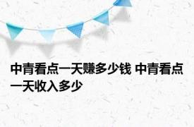 中青看点一天赚多少钱 中青看点一天收入多少