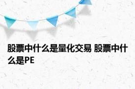 股票中什么是量化交易 股票中什么是PE