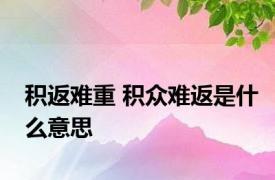 积返难重 积众难返是什么意思