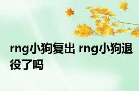 rng小狗复出 rng小狗退役了吗