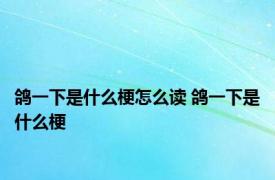 鸽一下是什么梗怎么读 鸽一下是什么梗