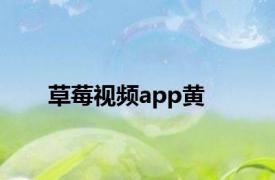 草莓视频app黄