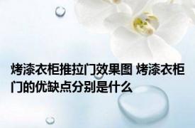 烤漆衣柜推拉门效果图 烤漆衣柜门的优缺点分别是什么