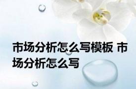 市场分析怎么写模板 市场分析怎么写