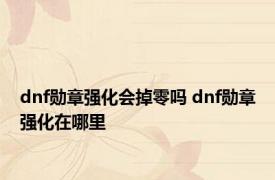 dnf勋章强化会掉零吗 dnf勋章强化在哪里