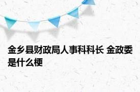 金乡县财政局人事科科长 金政委是什么梗