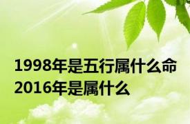 1998年是五行属什么命 2016年是属什么