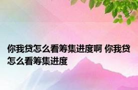 你我贷怎么看筹集进度啊 你我贷怎么看筹集进度