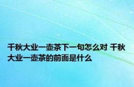 千秋大业一壶茶下一句怎么对 千秋大业一壶茶的前面是什么