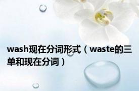 wash现在分词形式（waste的三单和现在分词）