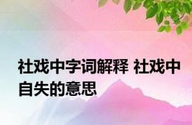 社戏中字词解释 社戏中自失的意思