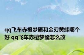 qq飞车赤橙梦魇和金刃黄蜂哪个好 qq飞车赤橙梦魇怎么改