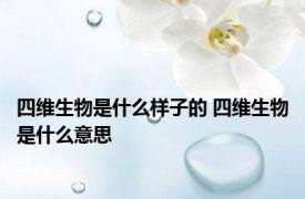 四维生物是什么样子的 四维生物是什么意思