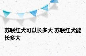 苏联红犬可以长多大 苏联红犬能长多大