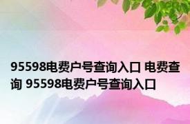 95598电费户号查询入口 电费查询 95598电费户号查询入口