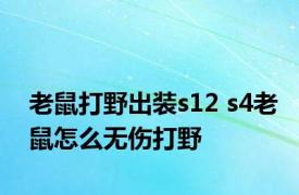 老鼠打野出装s12 s4老鼠怎么无伤打野