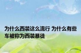 为什么西装这么流行 为什么有些车被称为西装暴徒