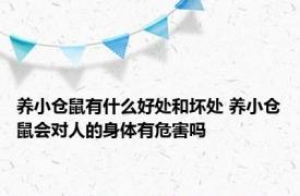 养小仓鼠有什么好处和坏处 养小仓鼠会对人的身体有危害吗