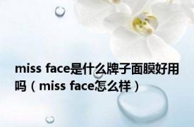 miss face是什么牌子面膜好用吗（miss face怎么样）