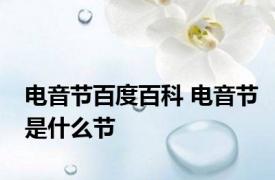 电音节百度百科 电音节是什么节