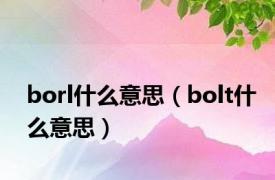 borl什么意思（bolt什么意思）