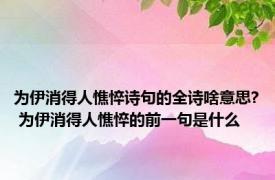 为伊消得人憔悴诗句的全诗啥意思? 为伊消得人憔悴的前一句是什么