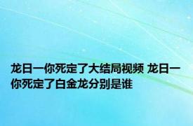 龙日一你死定了大结局视频 龙日一你死定了白金龙分别是谁