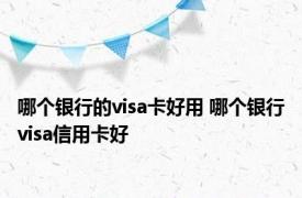 哪个银行的visa卡好用 哪个银行visa信用卡好