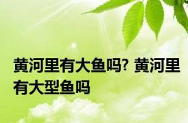 黄河里有大鱼吗? 黄河里有大型鱼吗