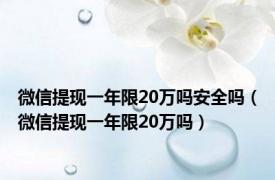 微信提现一年限20万吗安全吗（微信提现一年限20万吗）