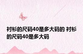 衬衫的尺码40是多大码的 衬衫的尺码40是多大码