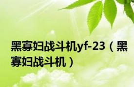 黑寡妇战斗机yf-23（黑寡妇战斗机）