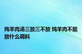 炖羊肉汤三放三不放 炖羊肉不能放什么调料