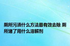 厕所污渍什么方法最有效去除 厕所堵了用什么溶解剂