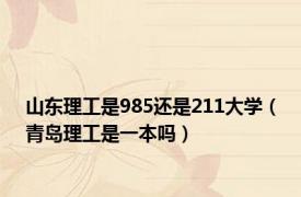 山东理工是985还是211大学（青岛理工是一本吗）